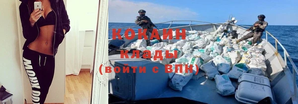 прущие грибы Армянск