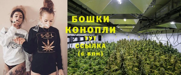 ешки Арсеньев