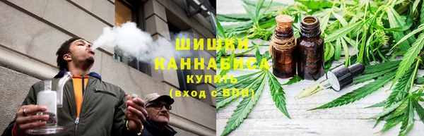 ешки Арсеньев