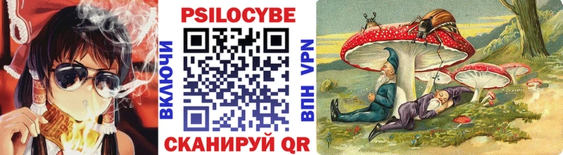 Галлюциногенные грибы Psilocybe  закладки  Белый 